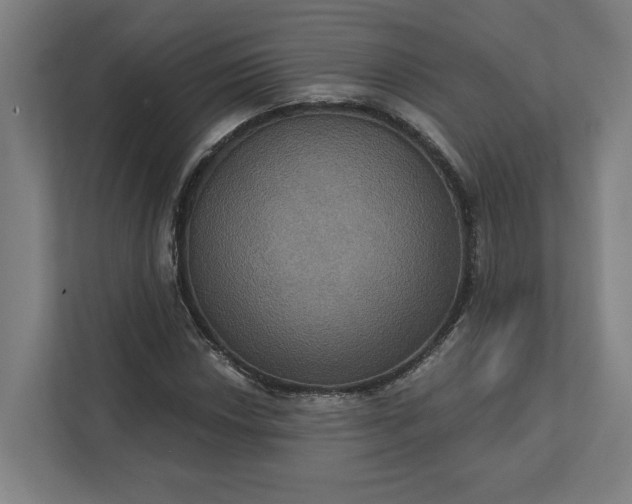 X0000112031018200908171446