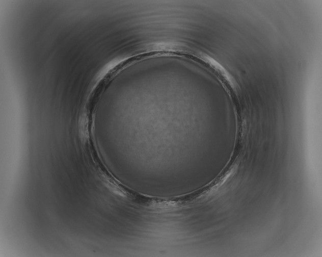 X0000112031019200908171447