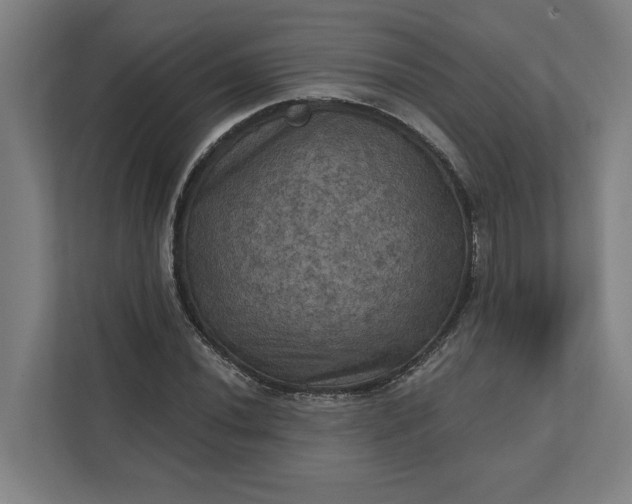 X0000112031020200908171447