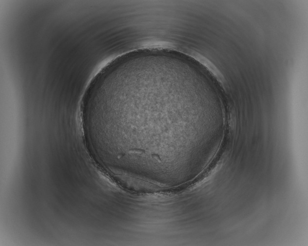 X0000112031022200908171447