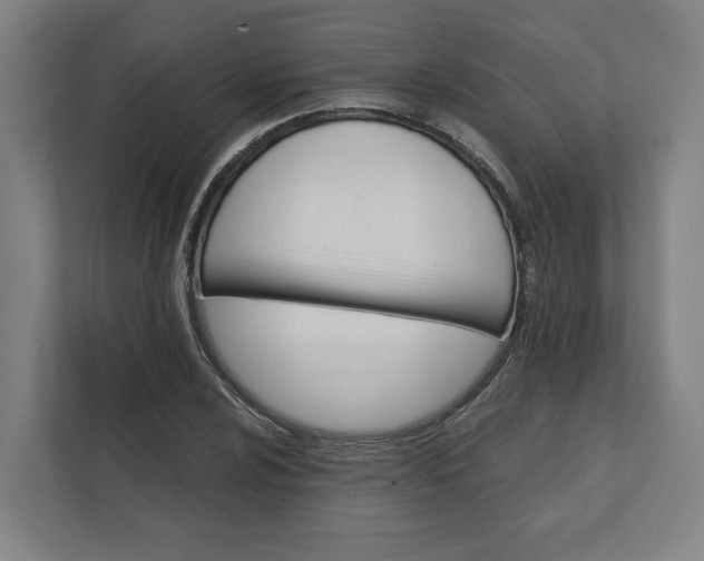 X0000112031024200908171447