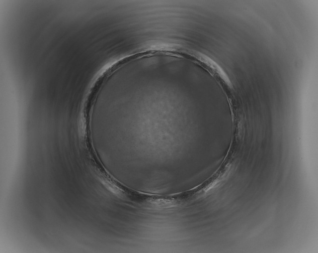 X0000112031027200908171447