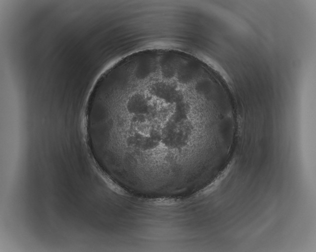 X0000112031029200908171447