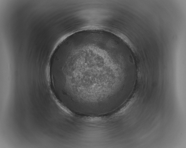 X0000112031030200908171447