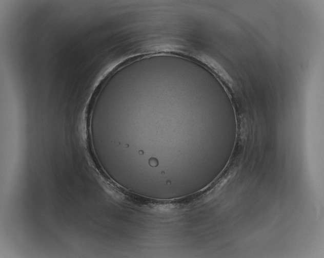 X0000112031031200908171447