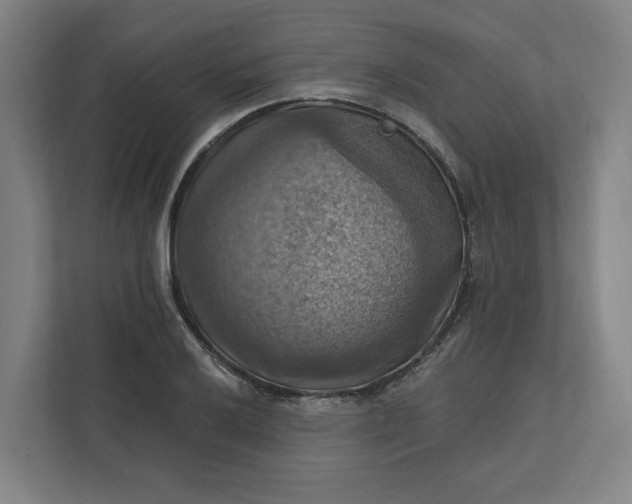 X0000112031032200908171447