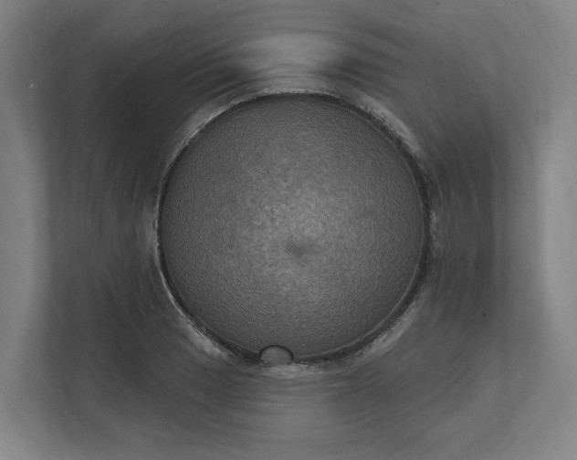 X0000112031033200908171447