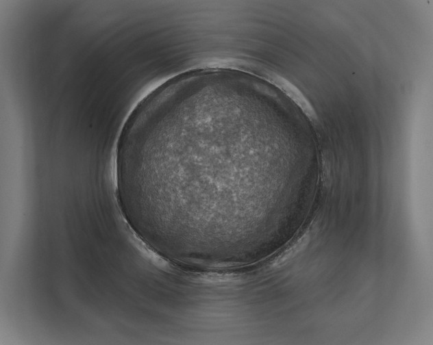 X0000112031036200908171447