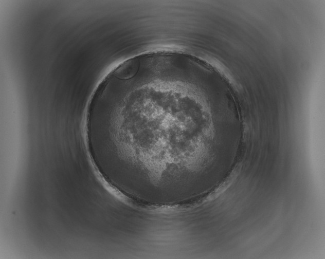 X0000112031038200908171447