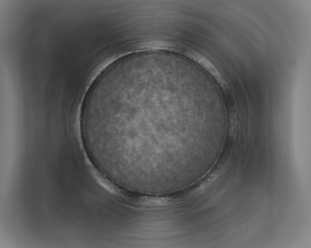 X0000112031039200908171447