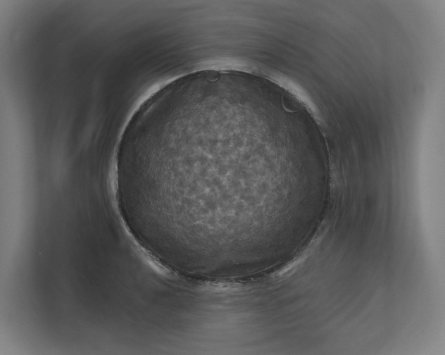 X0000112031040200908171447