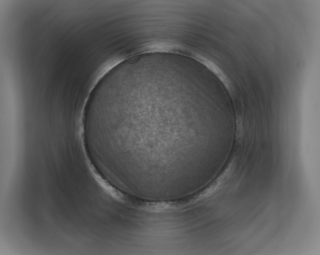 X0000112031042200908171447