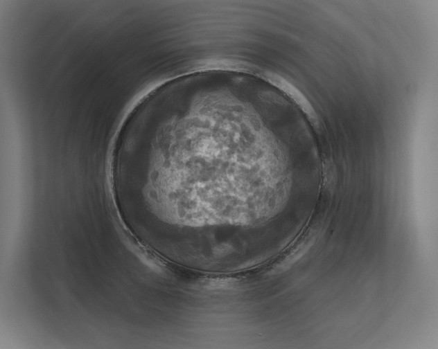 X0000112031043200908171447