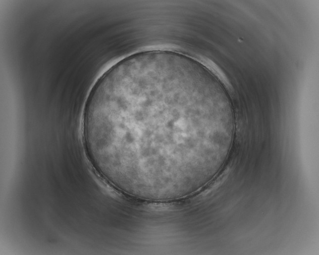 X0000112031044200908171447