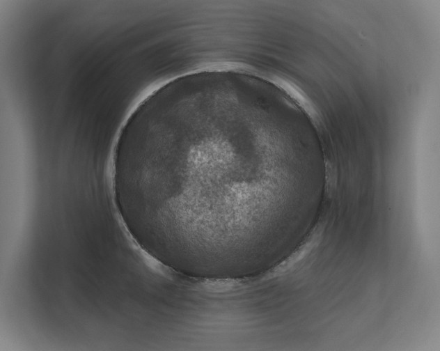 X0000112031046200908171447