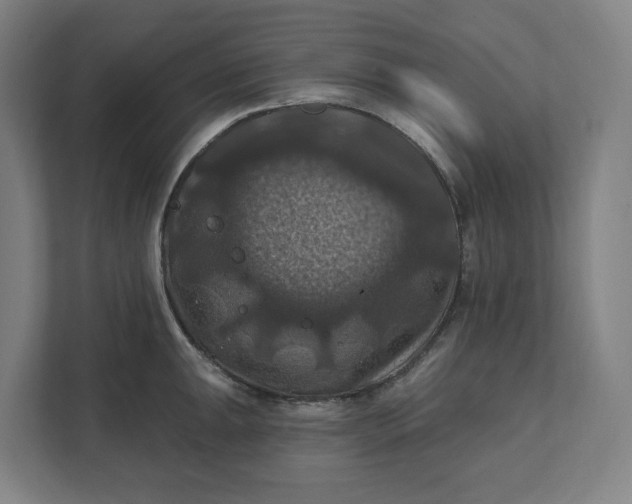 X0000112031047200908171447