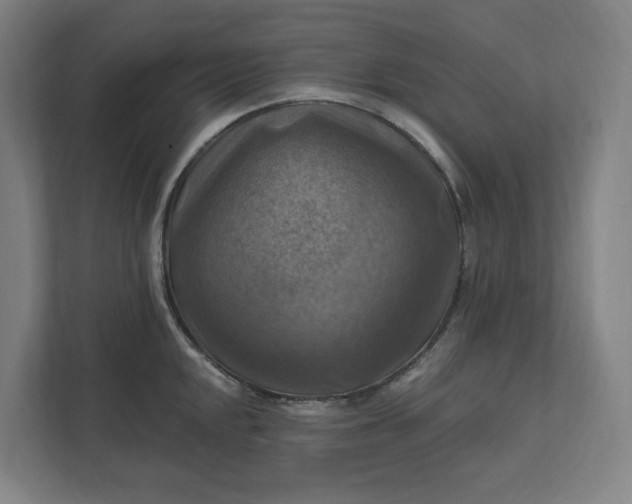 X0000112031048200908171447