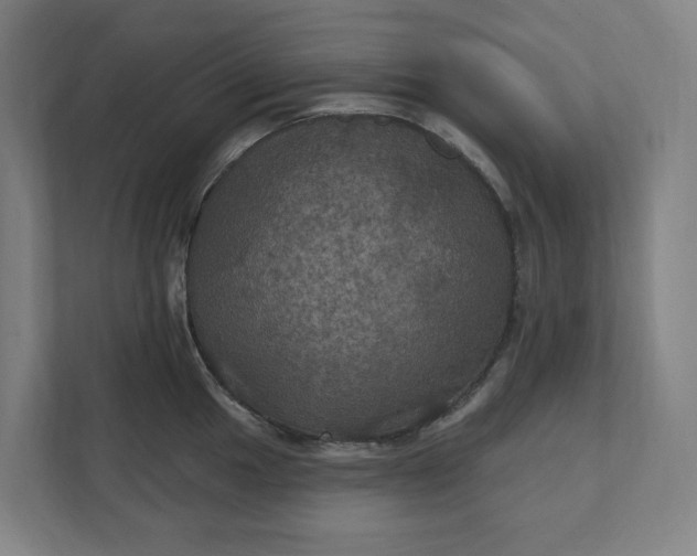 X0000112031049200908171447