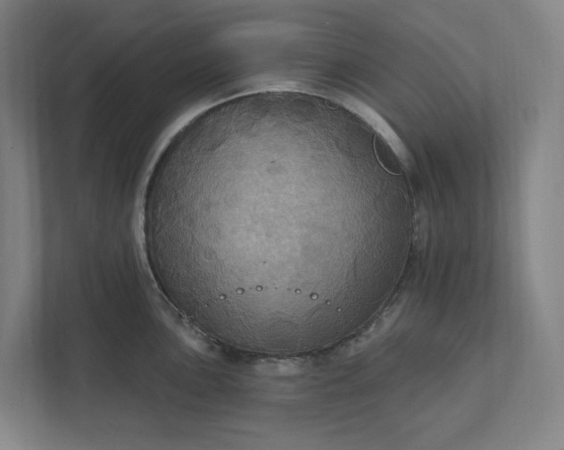 X0000112031051200908171447