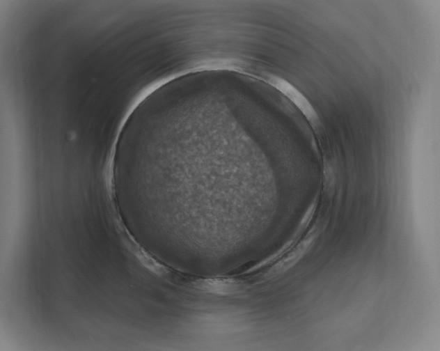 X0000112031052200908171447
