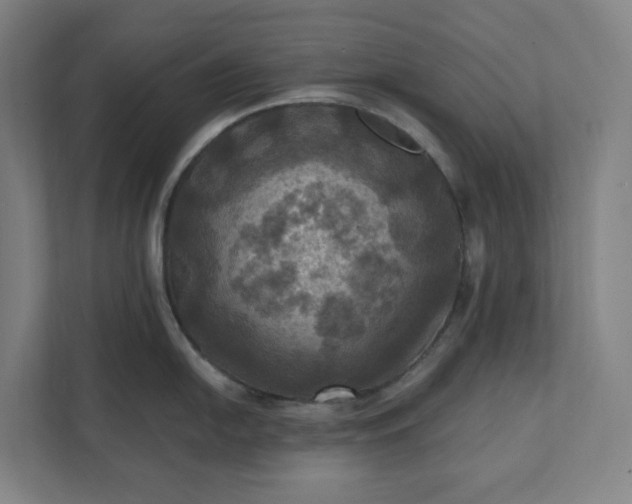 X0000112031054200908171447