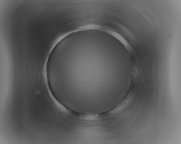 X0000112031055200908171447