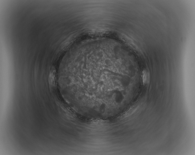 X0000112031059200908171446