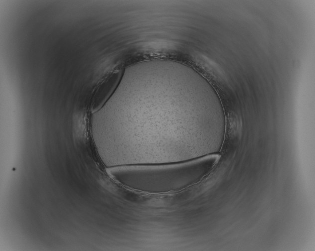 X0000112031060200908171446