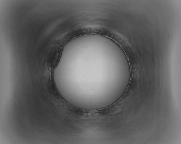 X0000112031061200908171446