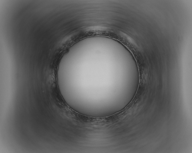 X0000112031062200908171446