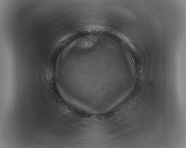 X0000112031063200908171446