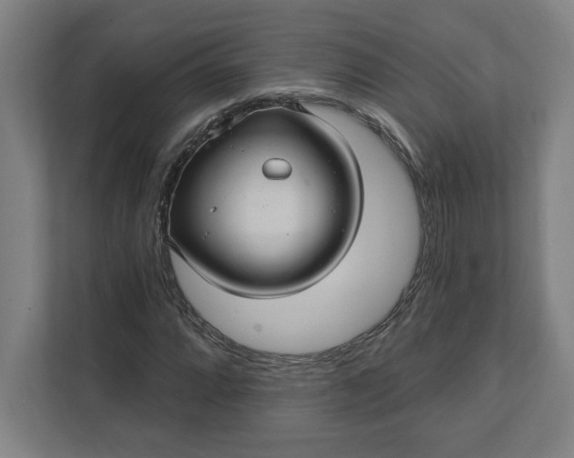 X0000112031064200908171446
