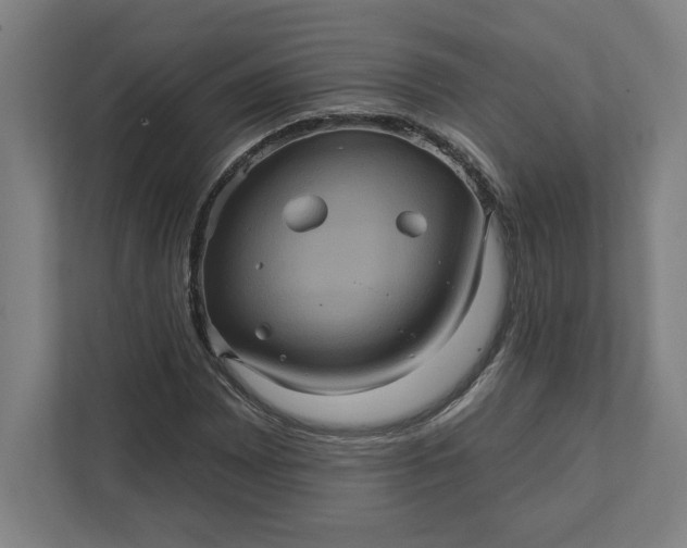 X0000112031065200908171446