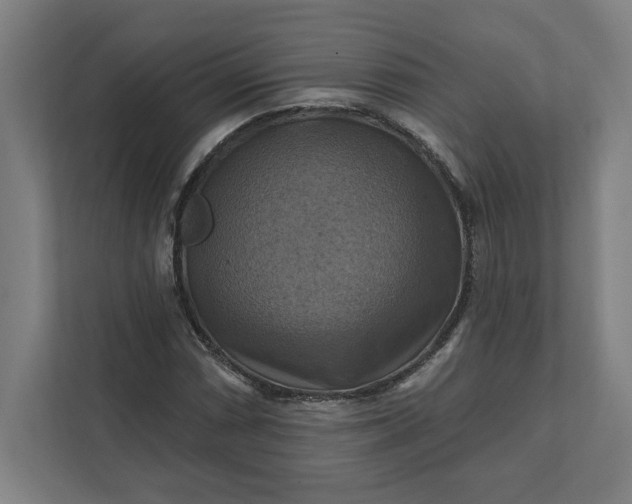 X0000112031066200908171446