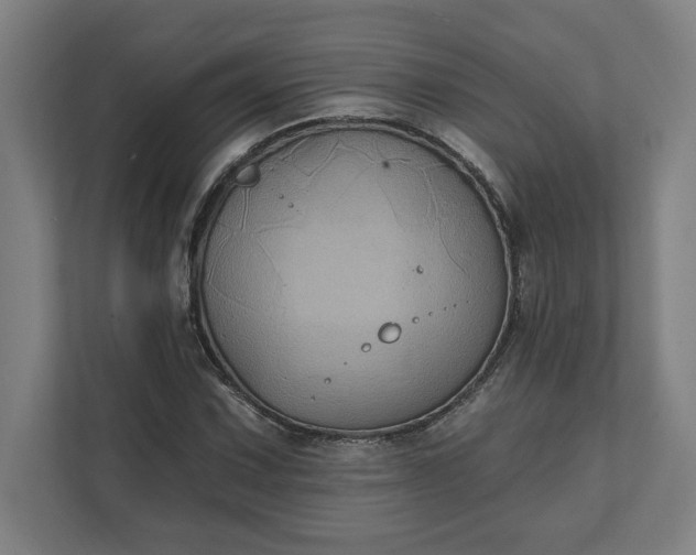 X0000112031067200908171446