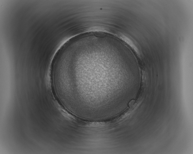 X0000112031068200908171446