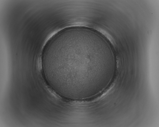 X0000112031069200908171446