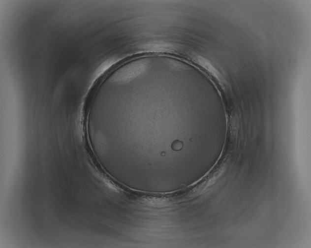 X0000112031071200908171446