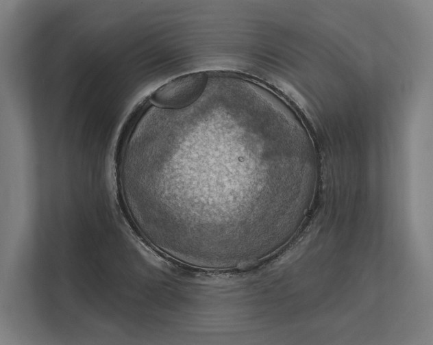 X0000112031072200908171446