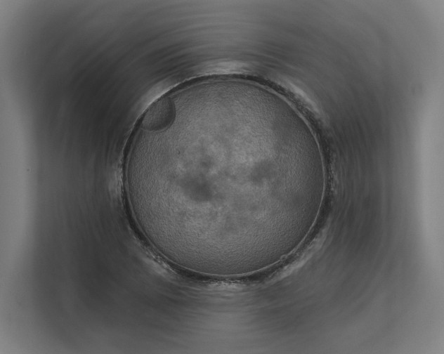X0000112031073200908171446