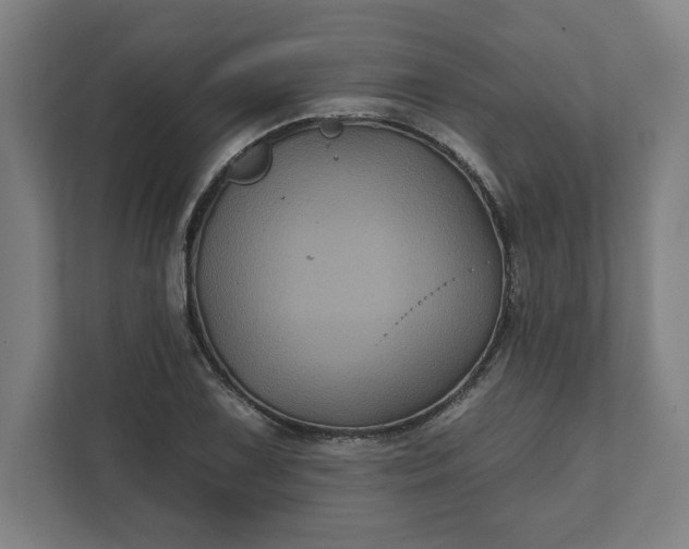 X0000112031075200908171446