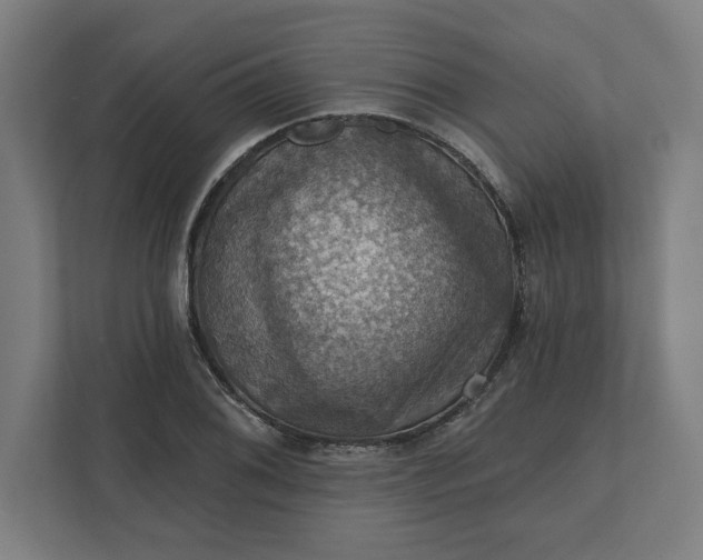 X0000112031076200908171446