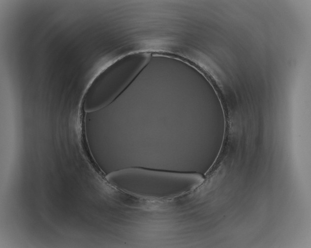 X0000112031077200908171446