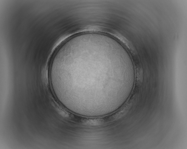 X0000112031078200908171446