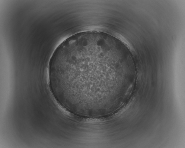 X0000112031079200908171446