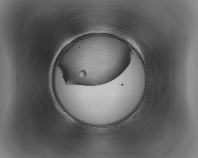 X0000112031080200908171446