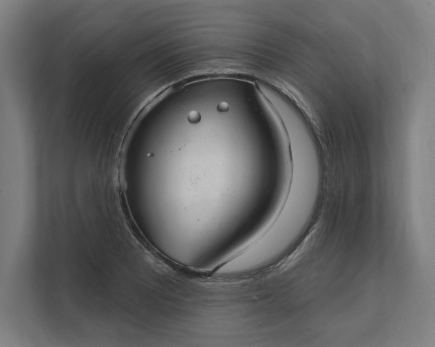 X0000112031081200908171446