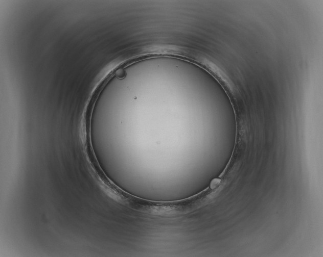 X0000112031082200908171446