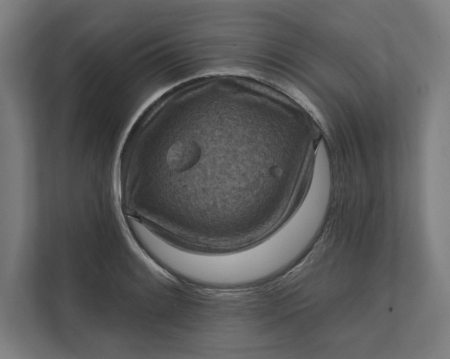 X0000112031084200908171446