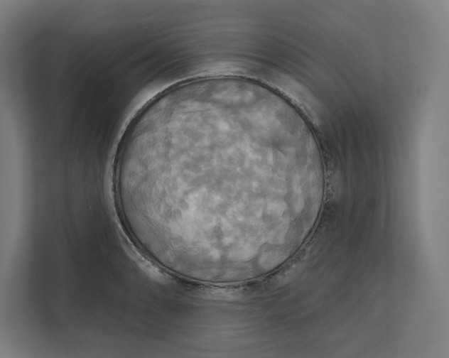 X0000112031086200908171446